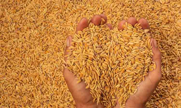అన్ని రాష్ర్టాల్లో బాయిల్డ్ సమస్య
