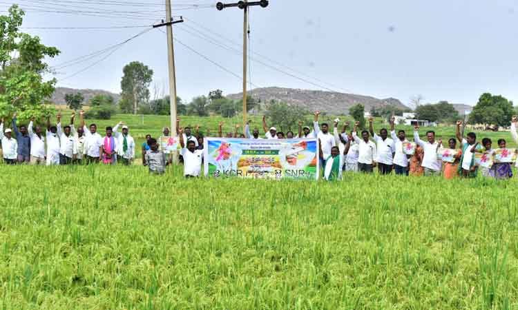 వడ్లు కొనేందుకు అధికారులు సన్నద్ధం