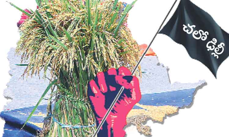 హస్తినకు వడ్ల సెగ