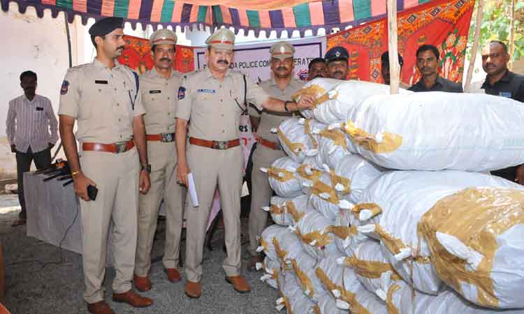 700 కిలోల గంజాయి పట్టివేత