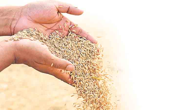 కోతల వెంటే కొనుగోళ్లు