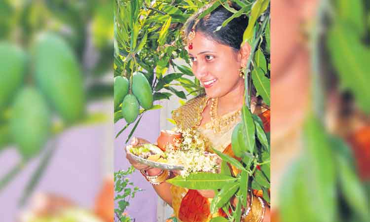 శుభకృత్‌కు స్వాగతిస్తూ..