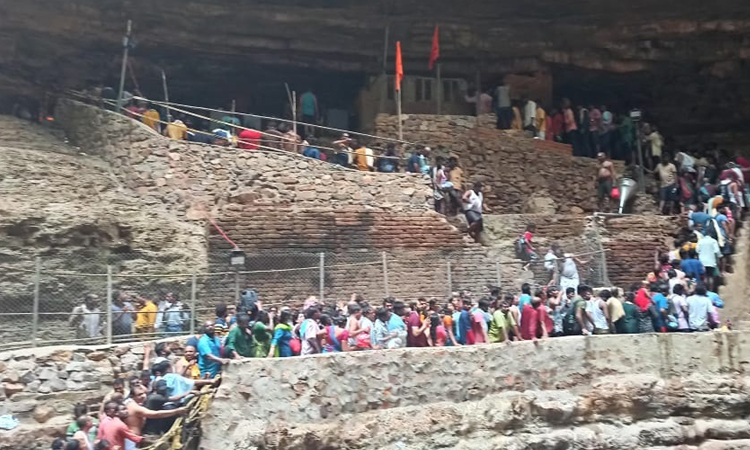 పులకించిన నల్లమల