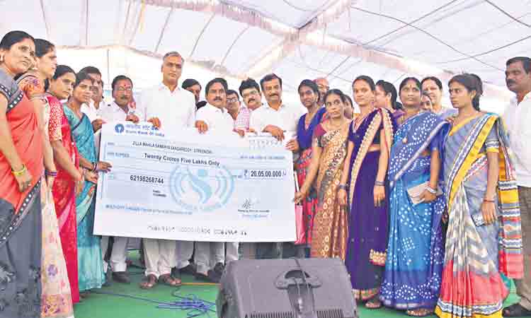 మహిళా సాధికారతకు ప్రభుత్వం కృషి