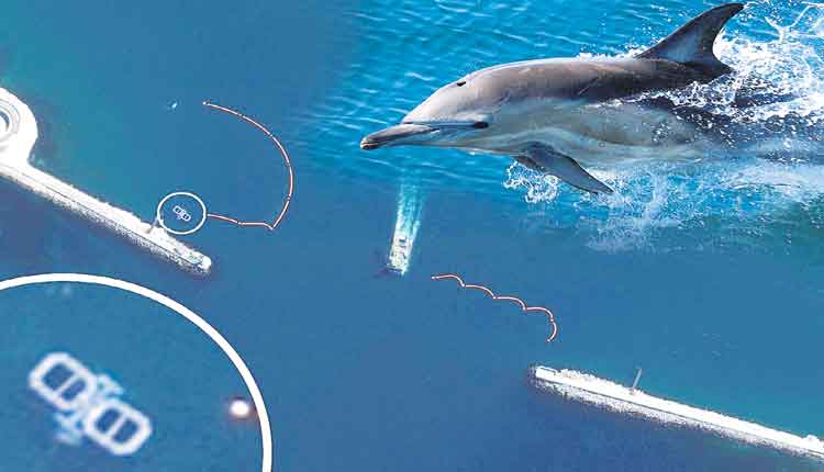 మిలిటరీ డాల్ఫిన్స్‌.. నల్ల సముద్రంలో మోహరించిన రష్యా