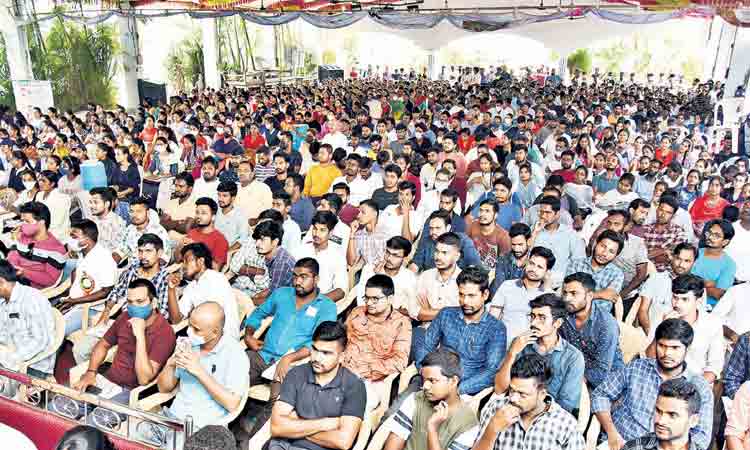 కష్టపడితే కొలువు సులువే