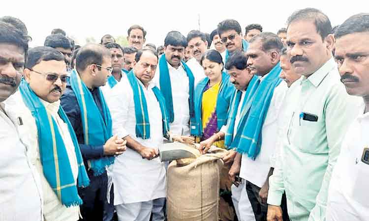 ధాన్యం కొనుగోళ్లు షురూ..