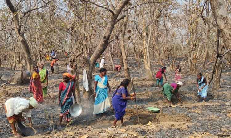 కూలీలకు వరం ‘ఉపాధి’