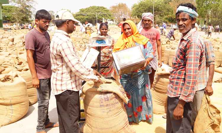 వడ్లకు పెరిగిన ధర
