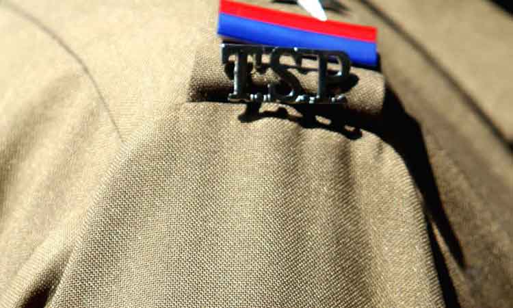 ఆనంద హేల