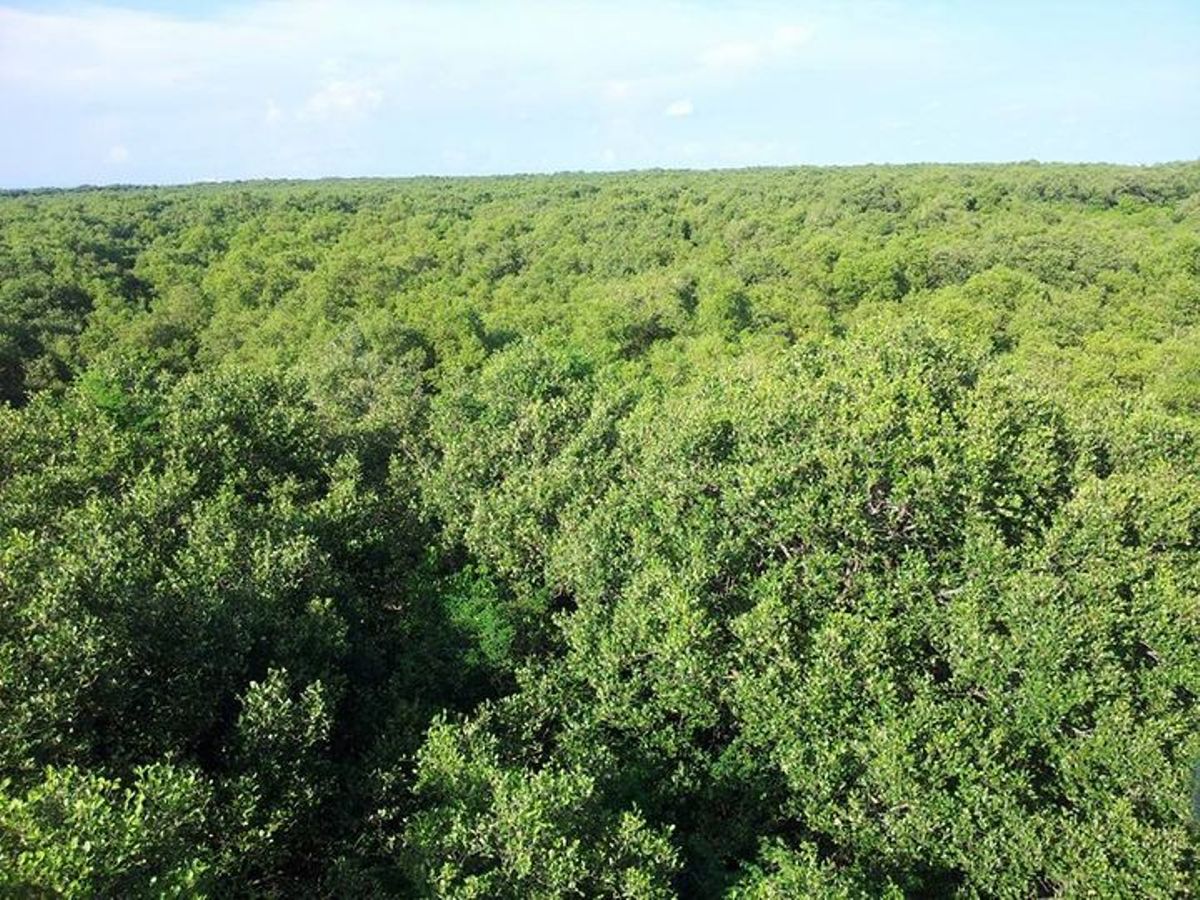 Which state has the highest number of elephants | ఏనుగులు ఎక్కువగా గల రాష్ట్రం?