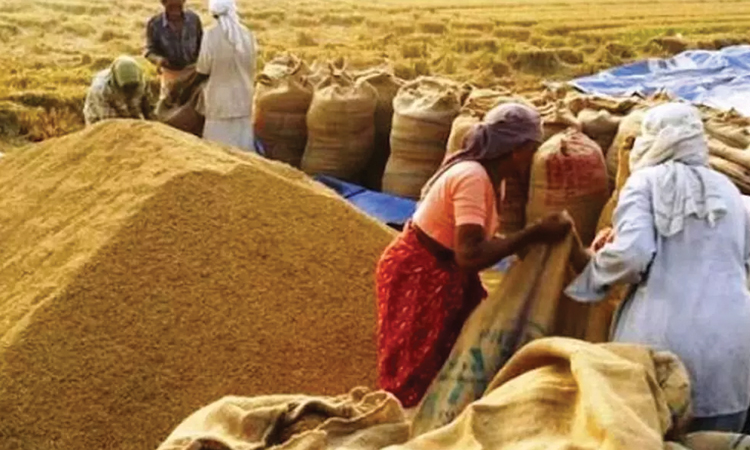 ఎవరిది కుట్ర?