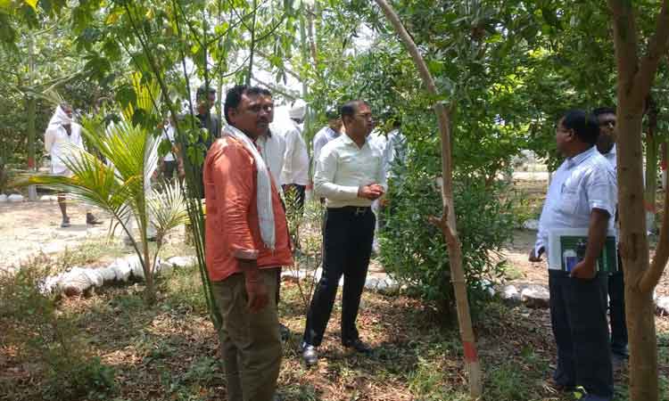 నర్సరీల్లో మొక్కలు సిద్ధం చేయాలి