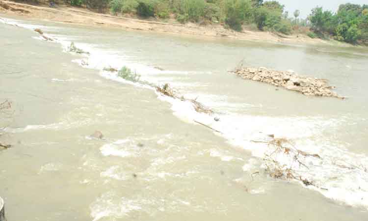 ఎదురెక్కి.. ఎగువ మానేరు వైపు!