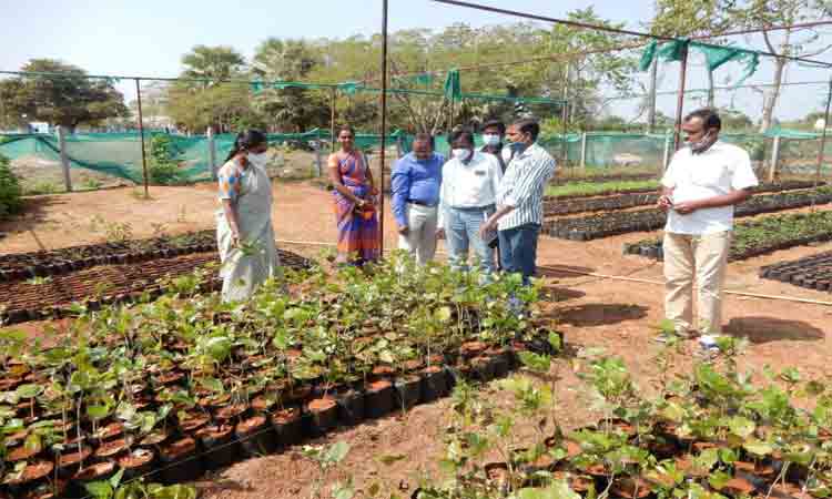 హరితహారానికి సన్నద్ధం