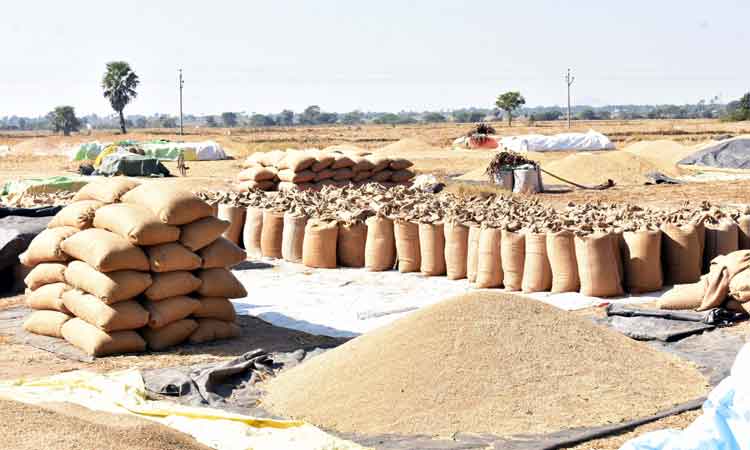 ధాన్యం కొనుగోళ్లకు రెడీ