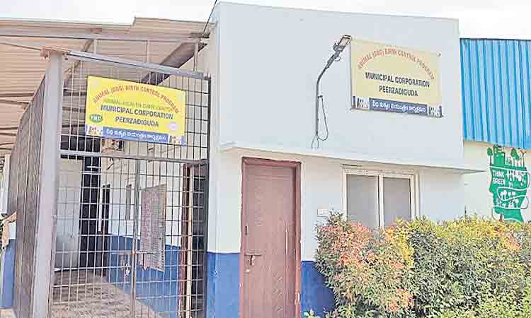 పీర్జాదిగూడలో తగ్గిన వీధి కుక్కల బెడద