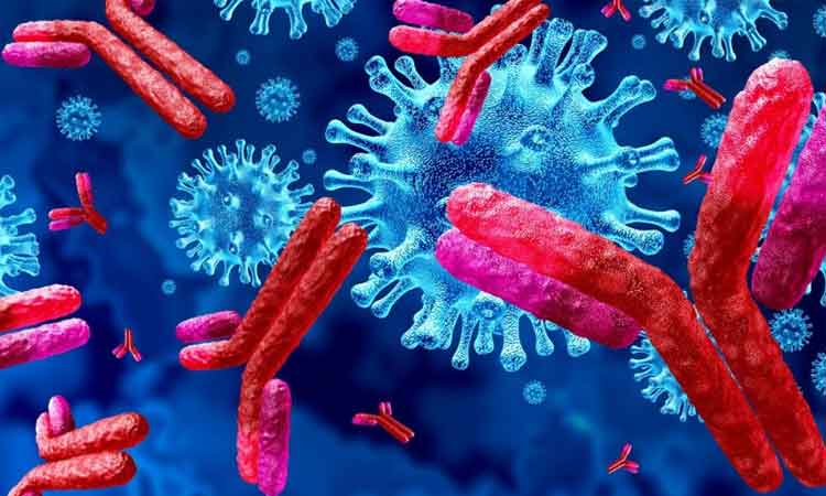 93.1% మందిలో యాంటిబాడీలు