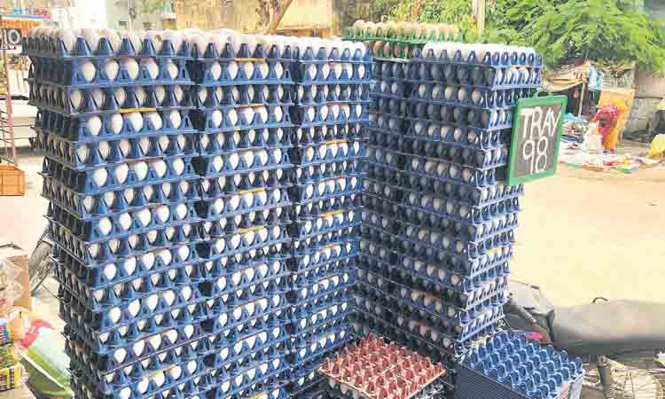 గుడ్డు ధర ఢమాల్‌