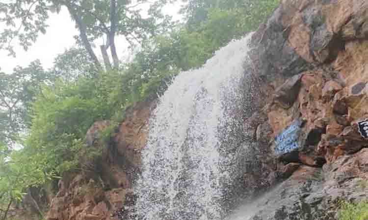 ‘వెన్నెల’కు సొబగులు