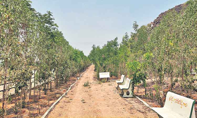 ప్రకృతివనం ఆహ్లాదానికి నిలయం