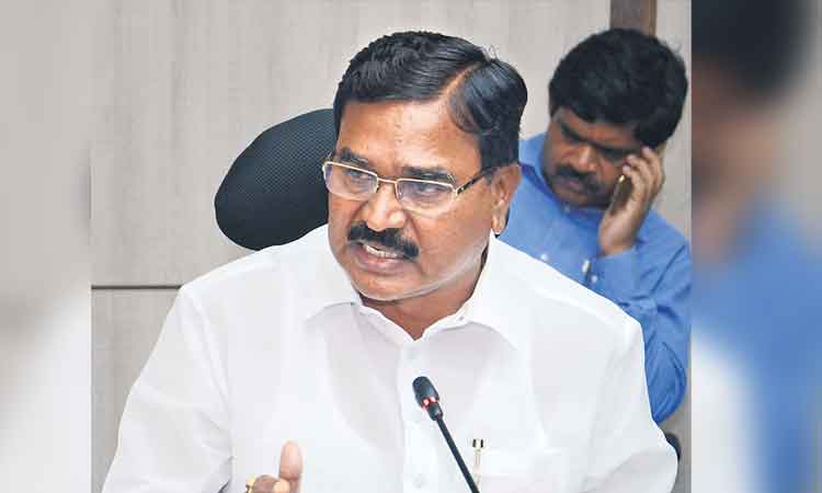 నచ్చిన పంట వేసుకోవచ్చు