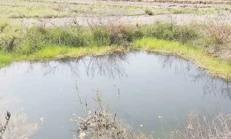 మండుటెండల్లోనూ పాతాళగంగ పైపైకి..