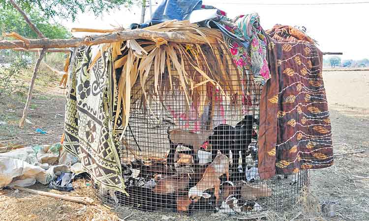 నేడు, రేపు భారీగా వడగాడ్పులు