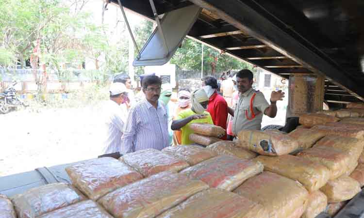 5 క్వింటాళ్ల గంజాయి పట్టివేత