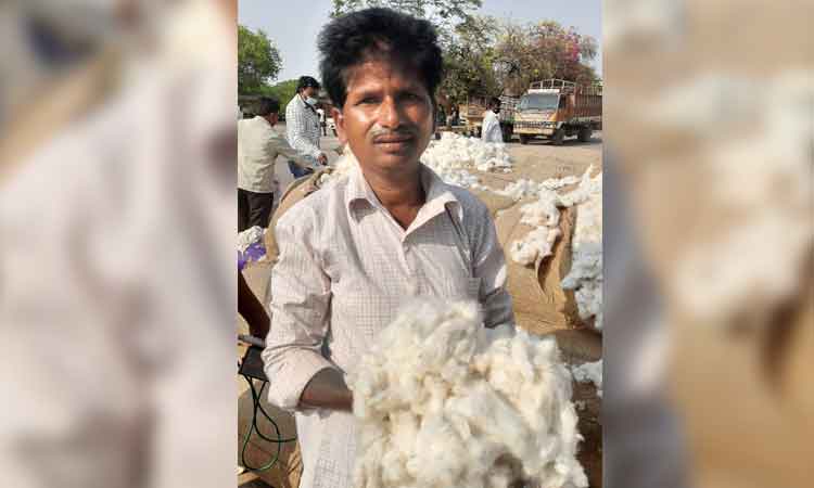 పత్తికి ఆల్‌ టైం రికార్డు ధర