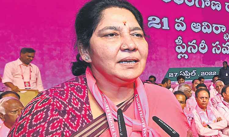 చట్టసభల్లో మహిళలకు 33% రిజర్వేషన్లు ఇవ్వాలి