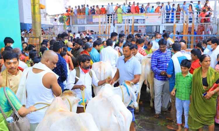 రా‘జన’ సంద్రం