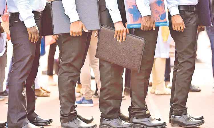 ఆగిన ఉద్యోగాల వేట