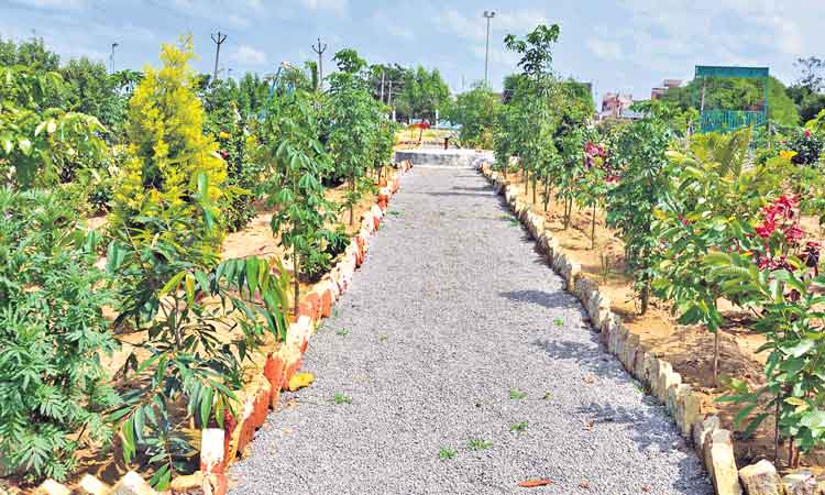 పల్లె ప్రగతితో ఆరోగ్య ప్రగతి