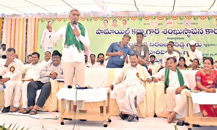 ఆయిల్‌పామ్‌ ఆదాయ వనరు