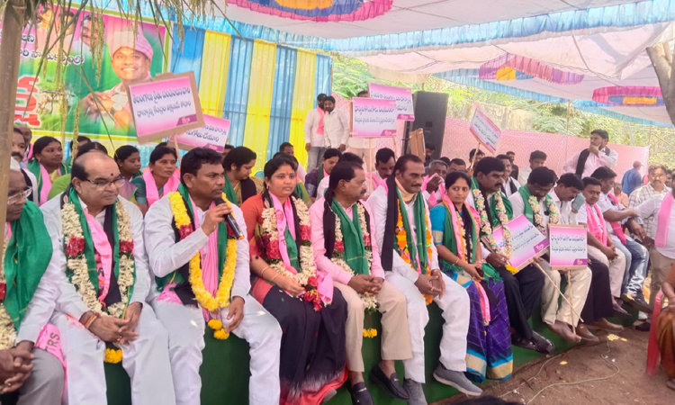 గల్లీ కేక ఢిల్లీకి వినిపిస్తాం