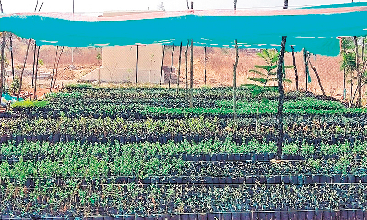 గ్రీన్‌నెట్‌ షెడ్లతో