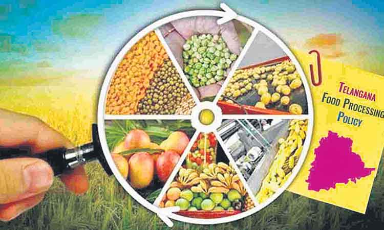 ఎఫ్‌పీజెడ్‌కు త్వరలో మార్గదర్శకాలు