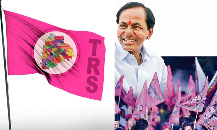 గులాబీ పండుగ