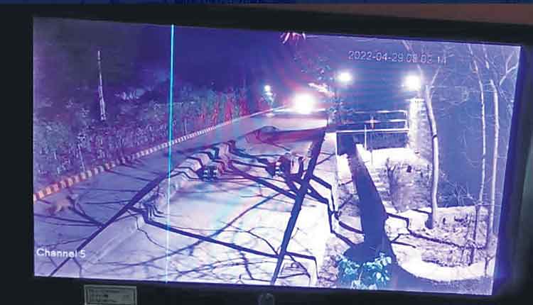 గడ్డపోతారంలో చిరుత కలకలం