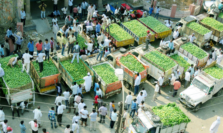 మామిడికి రికార్డు ధర