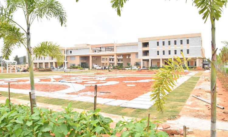 కలెక్టరేట్‌లో పాస్‌లు!