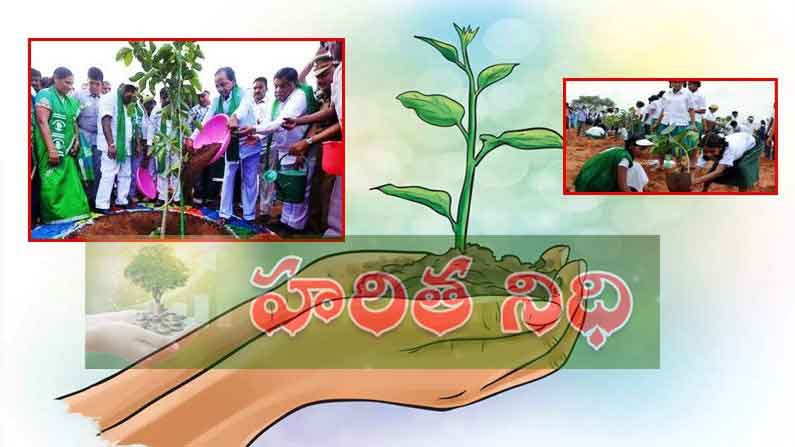 విధిగా హరిత ‘నిధి’..