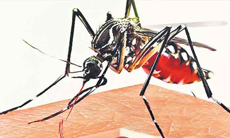 మలేరియా నియంత్రణలో భేష్‌