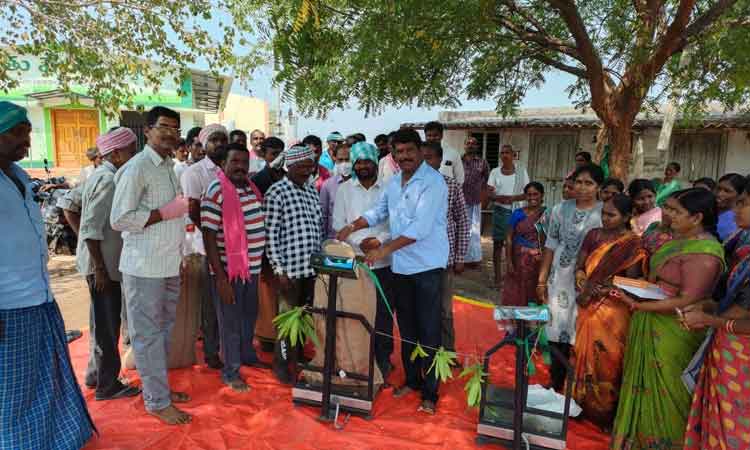 ముమ్మరంగా ధాన్యం కొనుగోళ్లు