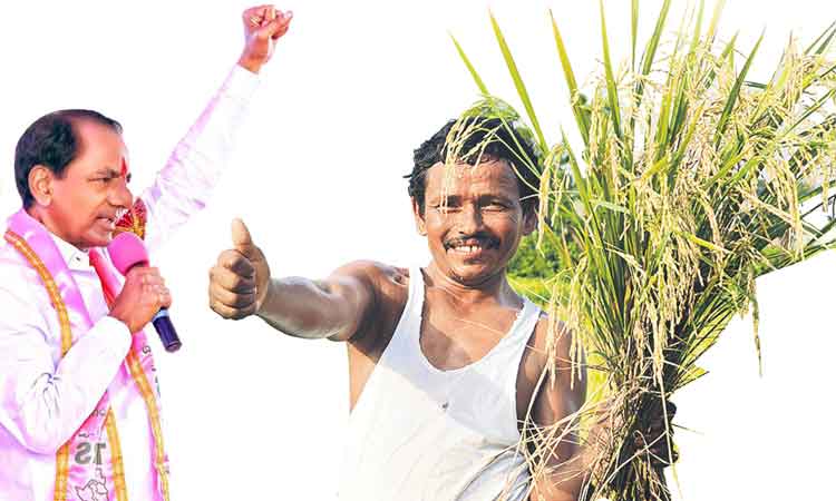 ఒక్కడిగా మొదలై..గులాబీ వనమై..