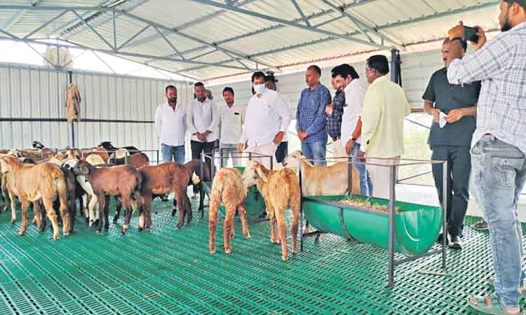 పల్లె యువత.. ఉపాధి బాట