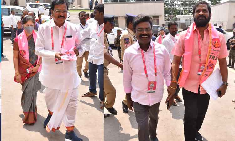 మదినిండా..టీఆర్‌ఎస్‌ జెండా