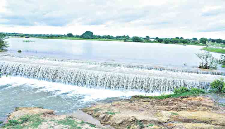 సర్వే చేసి సంరక్షించి..