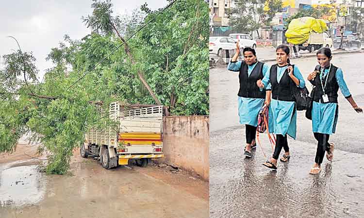 గాలివాన బీభత్సం..నేలకూలిన వృక్షాలు